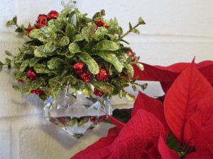 Mistletoe and Poinsettia